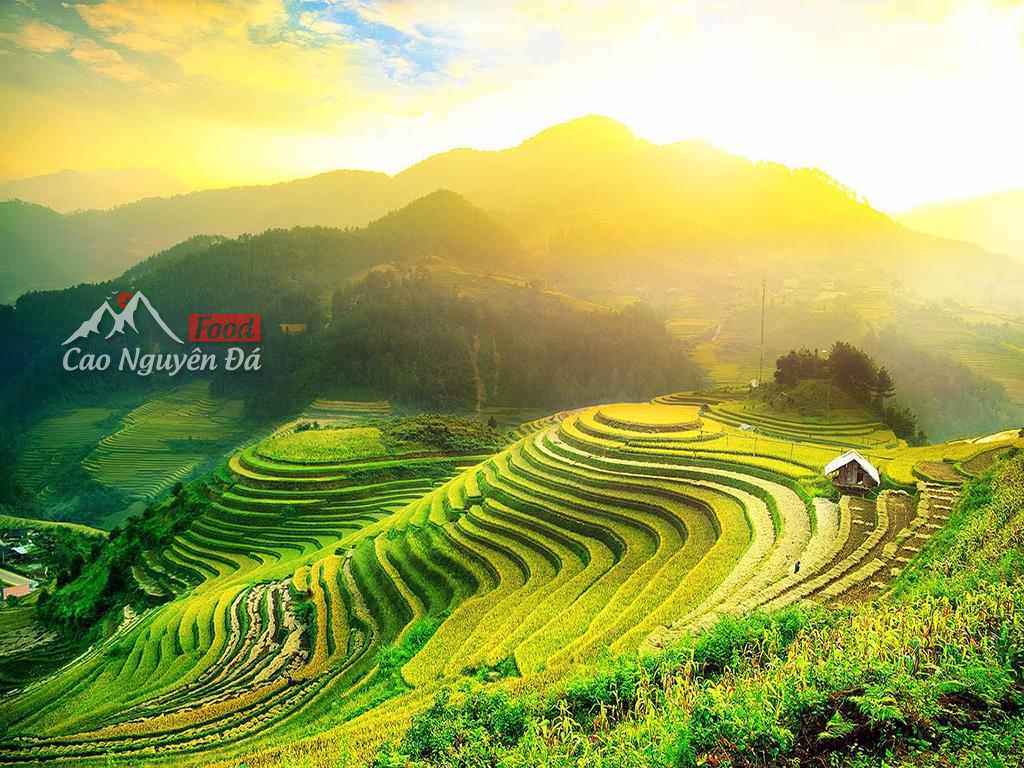 Du lịch Hà Giang, Tự túc đi ngắm cảnh vùng Hoa Tam Giác Mạch