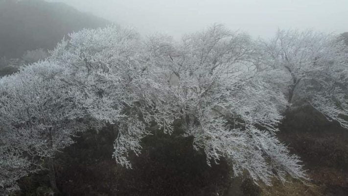 Mưa tuyết và băng giá xuất hiện tại Đồng Văn - Mèo Vạc Hà giang