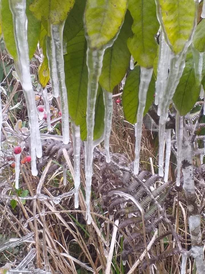 Mưa tuyết và băng giá xuất hiện tại Đồng Văn - Mèo Vạc Hà giang