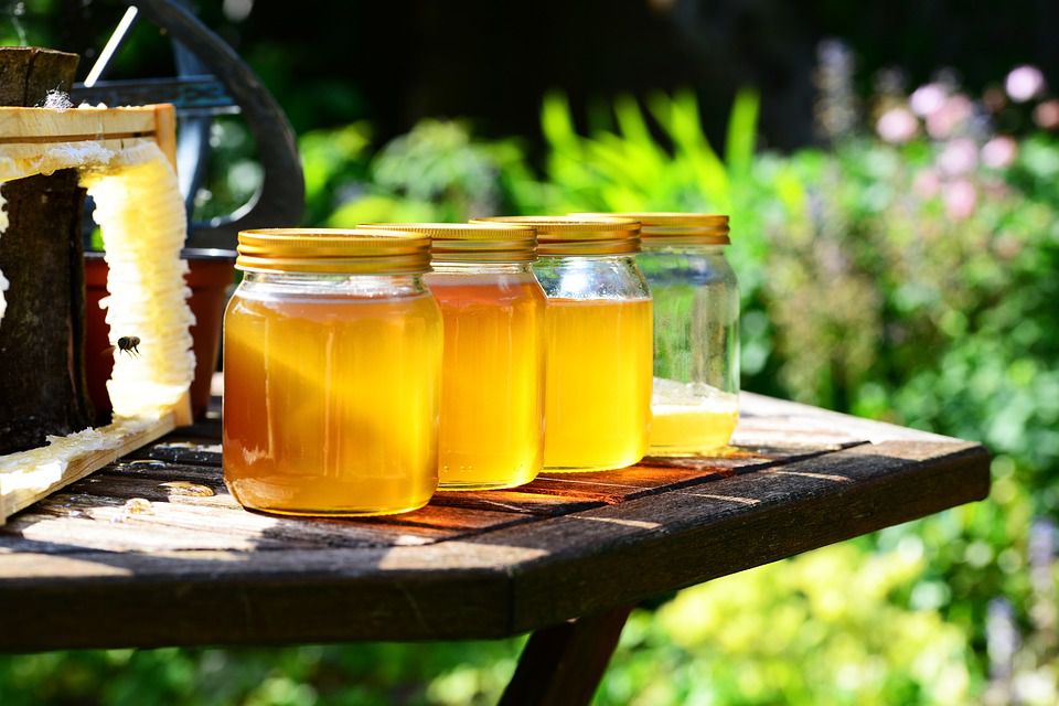 Tác dụng của mật ong rừng với sức khoẻ